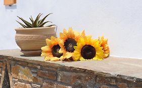 Aigaio Studios Tinos